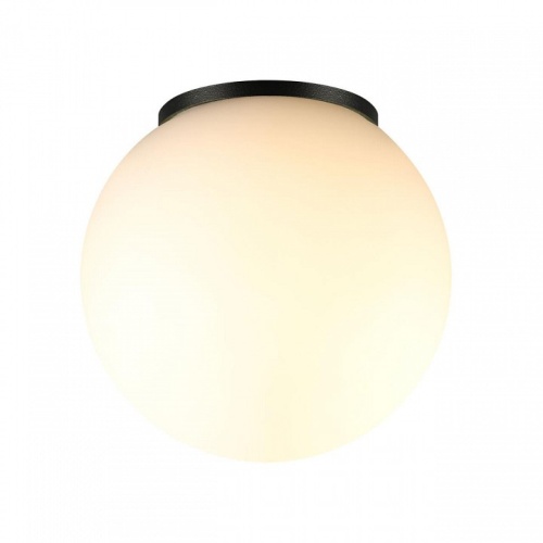 Накладной светильник Odeon Light NATURE 7124/1C в Нижнем Новгороде фото 3