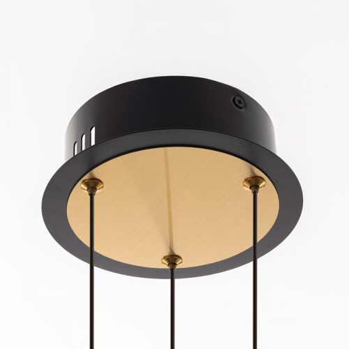 Подвесная люстра Citilux HELLY CL211042 в Нижнем Новгороде фото 6