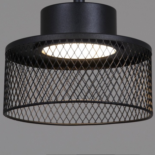 Люстра на штанге 68010-0.3-08 BK в Нижнем Новгороде фото 3