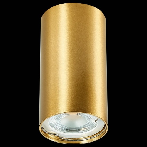 Накладной светильник ST-Luce ST110 ST110.207.01 в Нижнем Новгороде фото 3