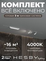 Комплект трековый Hesby Lighting Skylite №5 HSBL_kompl_S005_VI2W4K в Нижнем Новгороде