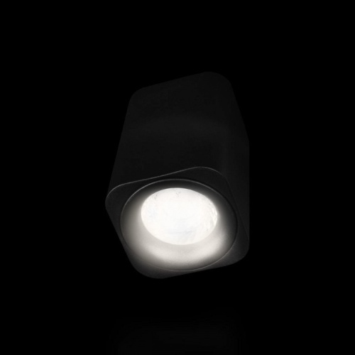 Накладной светильник Loft it Cup 10329 Black в Сочи фото 3