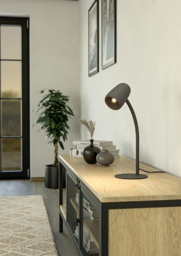 Настольная лампа декоративная Eglo CARLO 901828 в Нижнем Новгороде фото 3