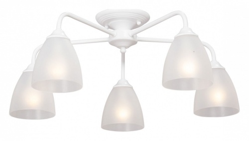 Потолочная люстра Vitaluce  V3946-0/5PL в Нижнем Новгороде