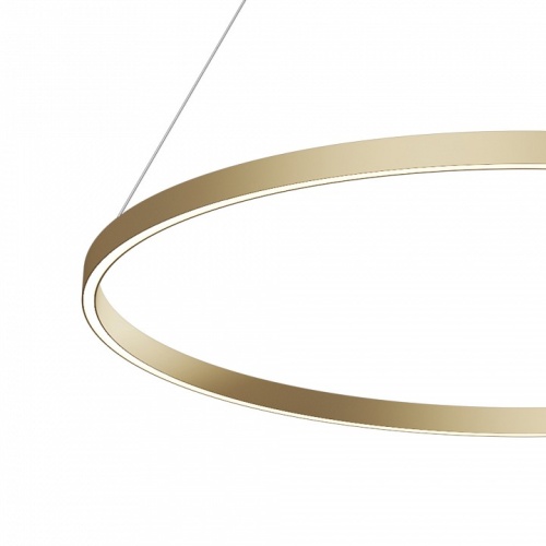 Подвесной светильник Maytoni Rim MOD058PL-L54BSK в Нижнем Новгороде фото 2