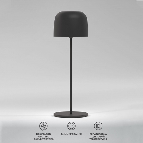 Настольная лампа декоративная Elektrostandard Bitty a069002 в Нижнем Новгороде фото 6