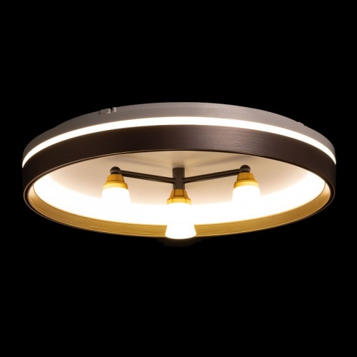 Потолочная люстра De City Семья 66 660014701 в Нижнем Новгороде фото 8