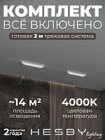 Комплект трековый Hesby Lighting Skylite №1 HSBL_kompl_S001_VI2W4K в Нижнем Новгороде