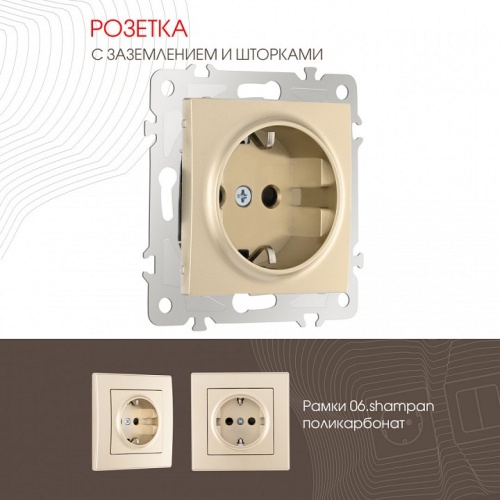 Розетка с заземлением и со шторкой, без рамки Arte Milano am-206 206.40-1.shampan в Нижнем Новгороде фото 4