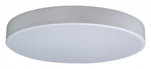 Накладной светильник Loft it Axel 1 10002/24 White в Качканаре