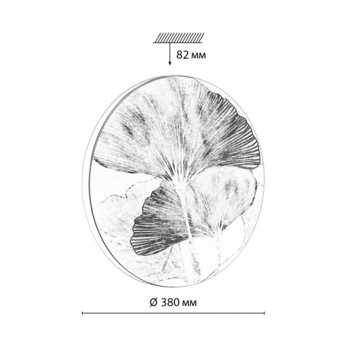 Накладной светильник Sonex Floren 7747/DL в Нижнем Новгороде фото 7