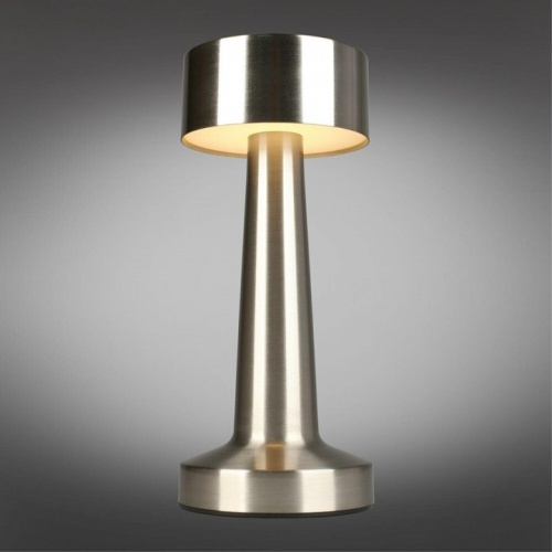 Настольная лампа декоративная Aployt Perrayn APL.671.14.01 в Нижнем Новгороде фото 11