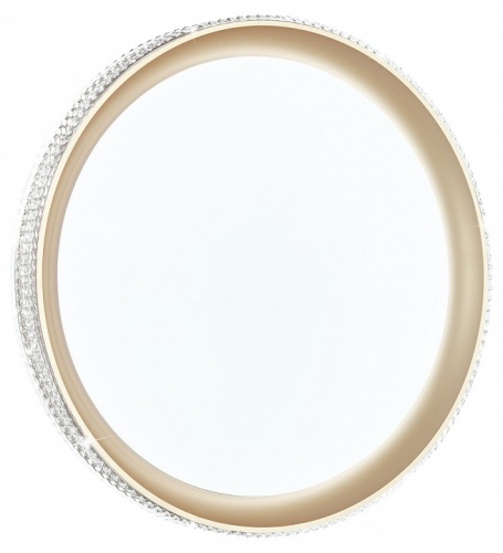 Накладной светильник Sonex Shiny 3054/EL в Нижнем Новгороде фото 8