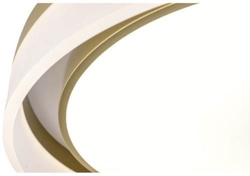 Накладной светильник Zortes Adel ZRS.1200.01 в Нижнем Новгороде фото 11