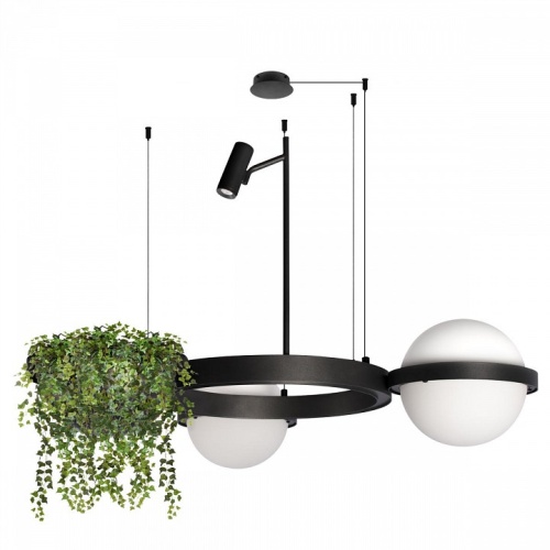 Подвесной светильник Loft it Jardin 10121/2 в Нижнем Новгороде фото 6