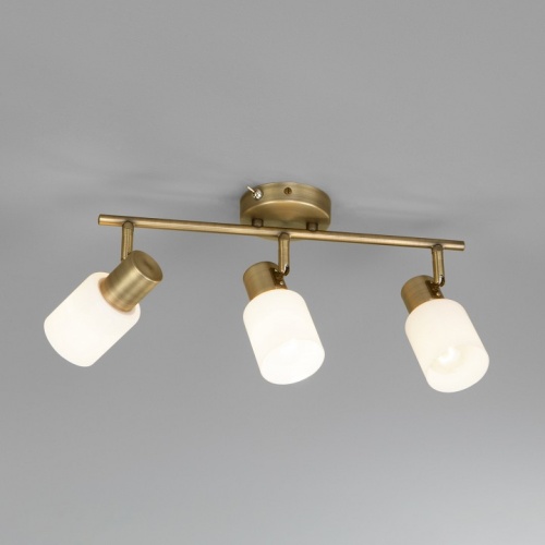 Бра Eurosvet Corso 20089/3 бронза в Нижнем Новгороде фото 5