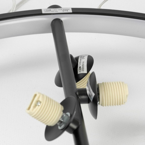 Подвесной светильник Lussole Lancaster LSP-7089 в Нижнем Новгороде фото 5