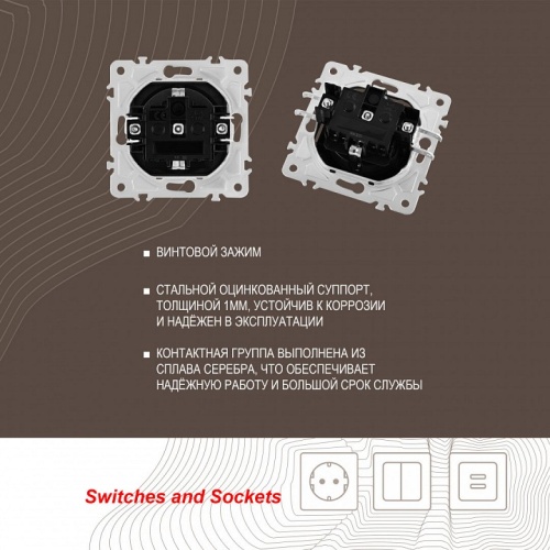 Розетка с заземлением и со шторкой, без рамки Arte Milano am-203 203.40-1.shampan в Нижнем Новгороде фото 2