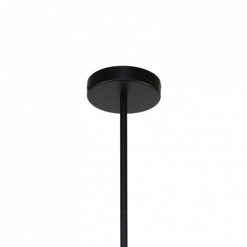 Люстра на штанге F-promo Sheeny 3088-10P в Нижнем Новгороде фото 2