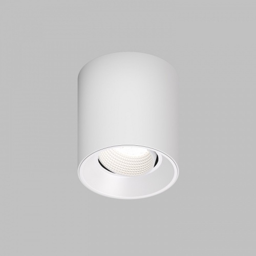 Накладной светильник Denkirs DK3040 DK3090-WH в Нижнем Новгороде фото 4