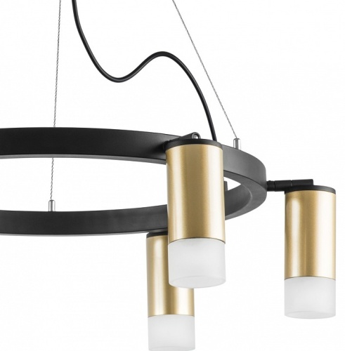 Подвесная люстра Lightstar Rullo LR0164061 в Нижнем Новгороде фото 2