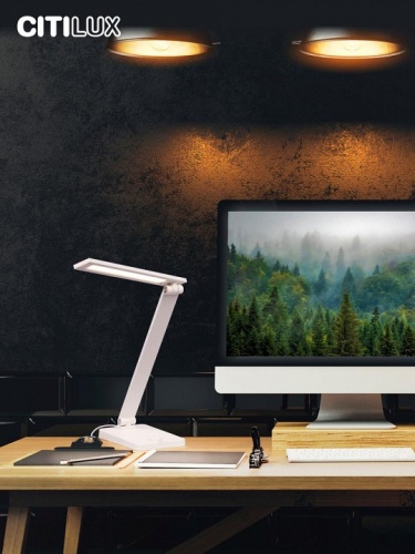 Настольная лампа офисная Citilux Ньютон CL803080 в Нижнем Новгороде фото 11