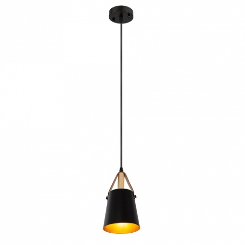 Подвесной светильник Arte Lamp Thomas A7032SP-1BK в Омске фото 4