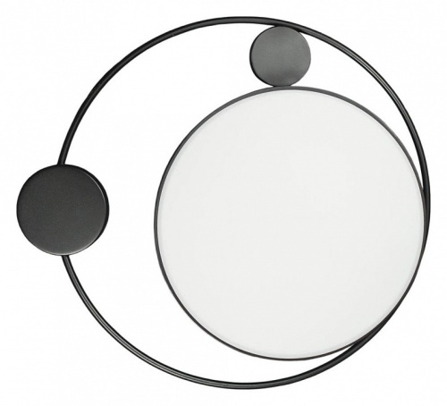 Накладной светильник Loft it Mike 10062 в Нижнем Новгороде фото 5