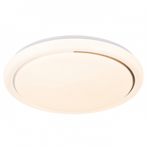 Накладной светильник Escada  10227/SG LED APP в Нижнем Новгороде фото 5