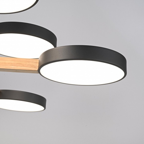 Люстра на штанге Imperiumloft TURNA Black TURNA-DBL01 в Нижнем Новгороде фото 6