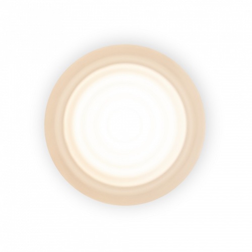 Накладной светильник Freya Retro FR5603WL-L8W1 в Нижнем Новгороде фото 8