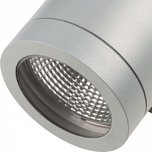 Накладной светильник Lightstar Paro 351619 в Нижнем Новгороде фото 4