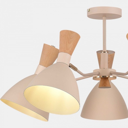 Люстра на штанге EVOLUCE VISTA SLE1256-502-05 в Нижнем Новгороде фото 2