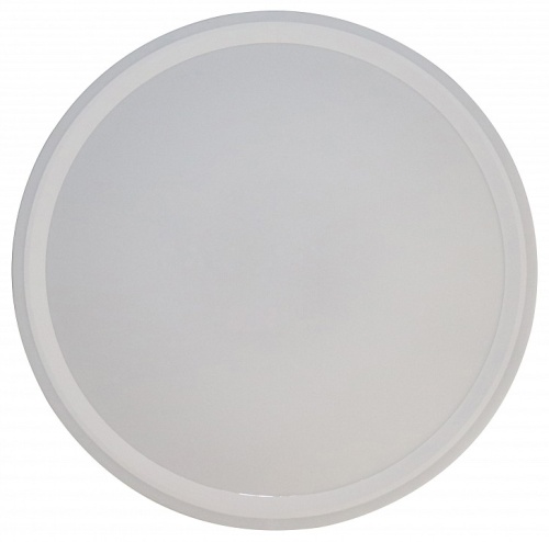 Накладной светильник Zortes Bella ZRS.1200.09 в Нижнем Новгороде