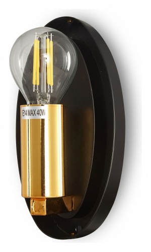 Накладной светильник Maytoni Mabell MOD306WL-01G в Нижнем Новгороде фото 4