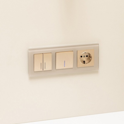 Розетка с заземлением и со шторками, без рамки Werkel шампань рифленый W1171110 в Нижнем Новгороде фото 5