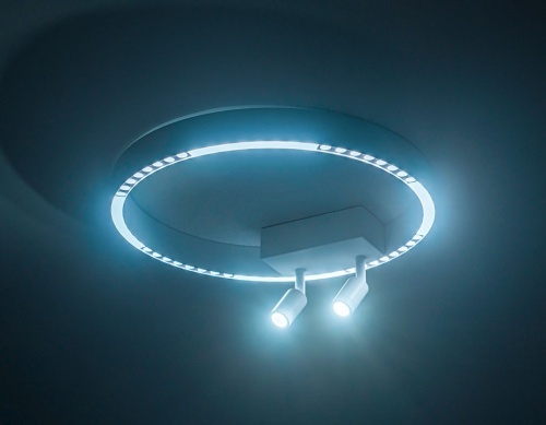 Накладной светильник Ambrella Light FL FL5805 в Нижнем Новгороде фото 4