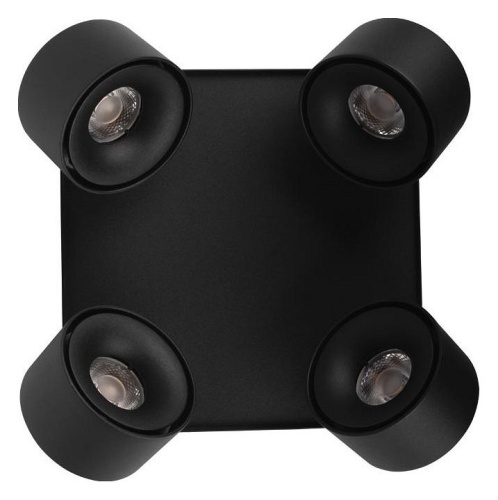 Спот Loft it Case 10326 Black в Нижнем Новгороде фото 6