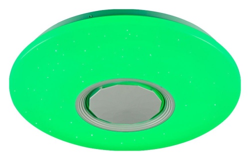 Накладной светильник Ambrella Light FF FF201 в Нижнем Новгороде фото 8