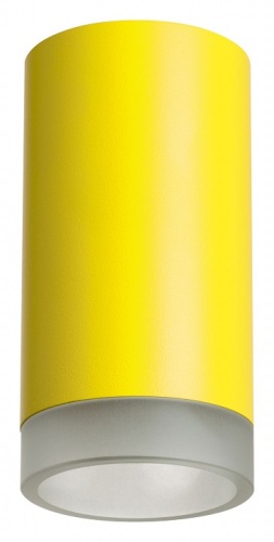 Накладной светильник Lightstar Rullo R43330 в Дудинке