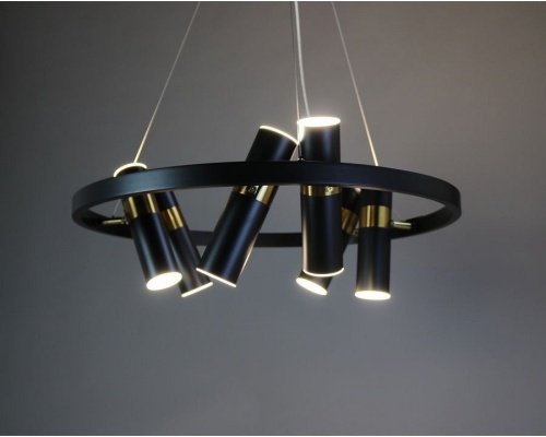 Подвесная люстра Zortes Tweeny ZRS.1828.60 в Нижнем Новгороде фото 5