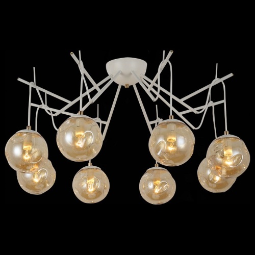 Потолочная люстра EVOLUCE Calletta SLE110202-08 в Нижнем Новгороде фото 3