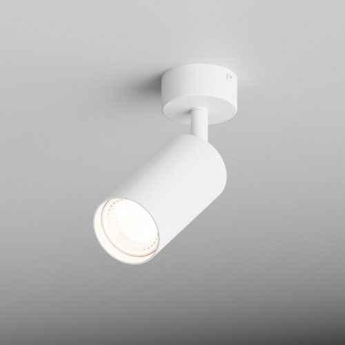 Спот Hesby Lighting Focus 0090 в Нижнем Новгороде фото 4