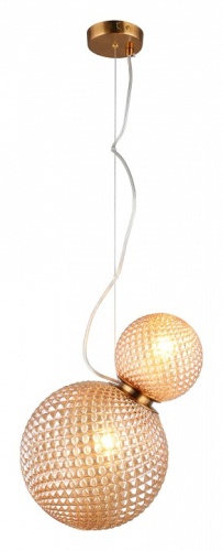 Подвесной светильник Aployt Patunia APL.301.16.02 в Нижнем Новгороде фото 10