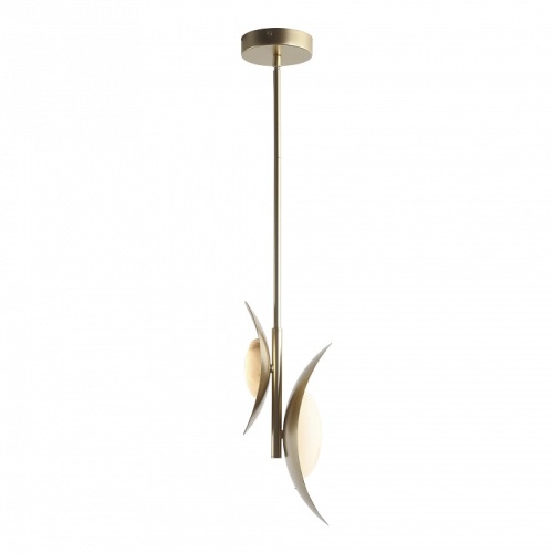Подвесной светильник ST-Luce Pearl SL6229.203.02 в Нижнем Новгороде фото 3