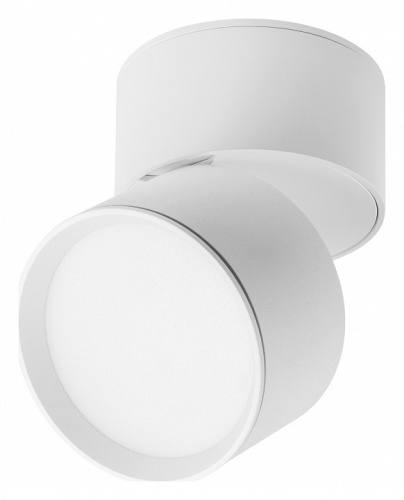 Накладной светильник Lightstar Acuto 215836 в Нижнем Новгороде