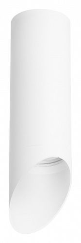 Накладной светильник Lightstar Rullo R48636 в Туапсе