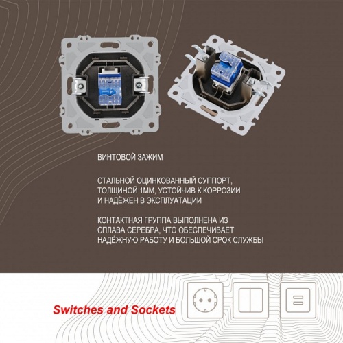 Розетка телефонная RJ-11 без рамки Arte Milano am-206 206.51-1.shampan в Нижнем Новгороде фото 2