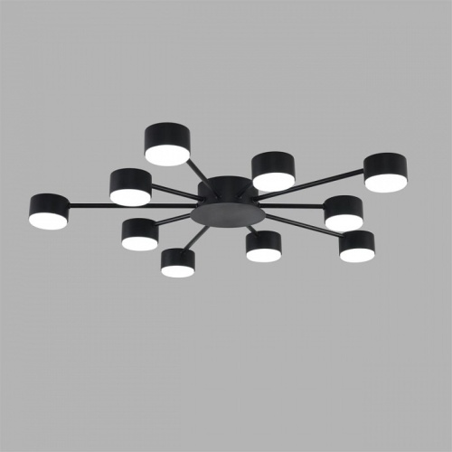 Потолочная люстра Lumion TORINA 8344/10C в Нижнем Новгороде фото 2