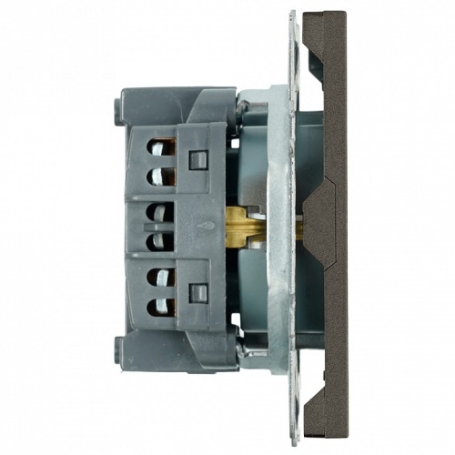 Розетка с заземлением и со шторкой, без рамки Stekker Эмили 49932 в Нижнем Новгороде фото 3